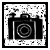 Photos + Bios